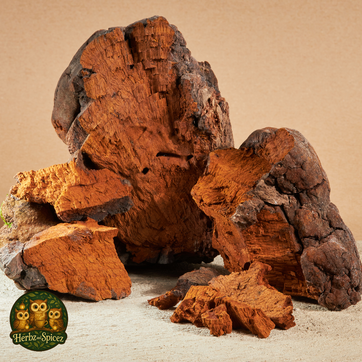 Chaga