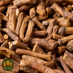 Dandelion (Root C/S)