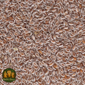 Organic Psyllium Seed
