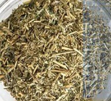 Stonebreaker Herb