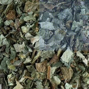 Lungwort