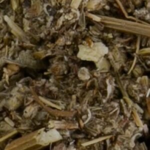 Mugwort