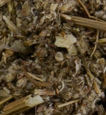 Mugwort
