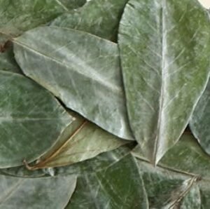 Soursop Leaves