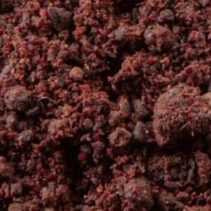 Sumac Berry