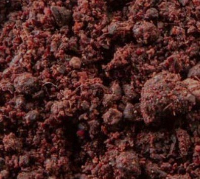 Sumac Berry
