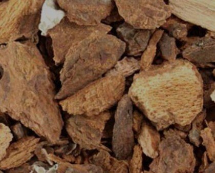 Wild Cherry Bark