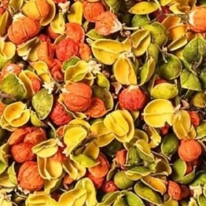 Albizia Flowers