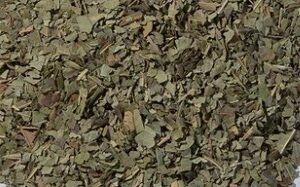 Neem Leaf