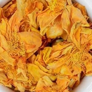 Yellow Lotus Flower