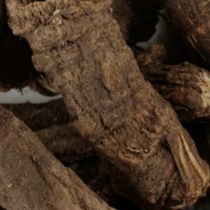 Osha Root