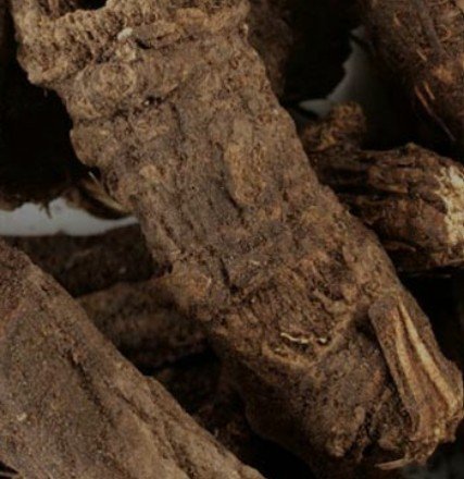 Osha Root