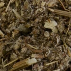 Mugwort