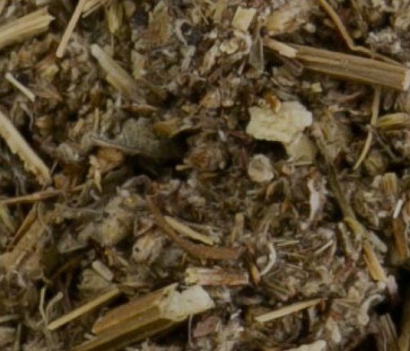 Mugwort