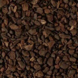 Chicory Root